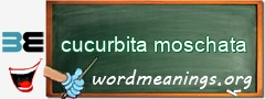 WordMeaning blackboard for cucurbita moschata